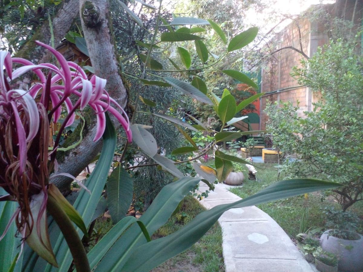 Montecarlos Hotel Ibagué Exteriör bild